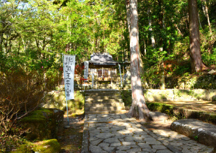 World Heritage Kumano<br>ancient path Nakahechi-1