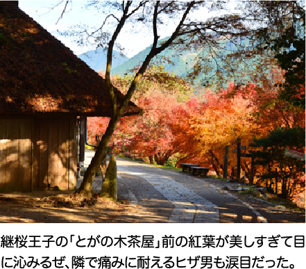 継桜王子の「とがの木茶屋」前の紅葉が美しすぎて目に沁みるぜ、隣で痛みに耐えるヒザ男も涙目だった。